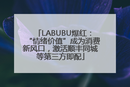LABUBU爆红：“情绪价值”成为消费新风口，激活顺丰同城等第三方即配