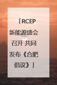 RCEP新能源盛会召开 共同发布《合肥倡议》